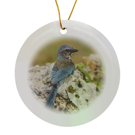 Western Scrub-Jay Bird, Hill Country, Texas - Na02 Rnu0841 - Rolf Nussbaumer, Circle Porcelain Ornament