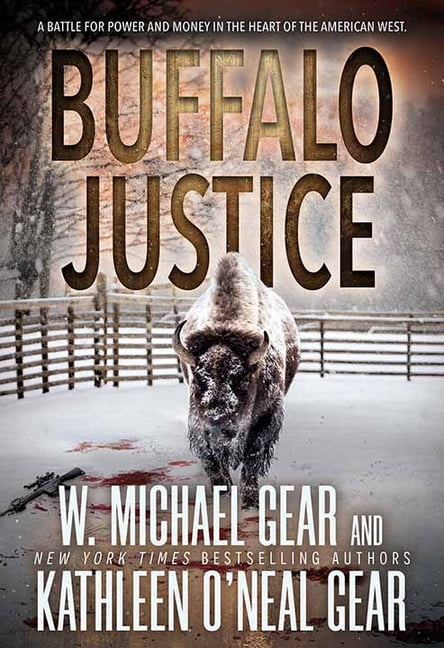 Western Series Level I (24) Buffalo Justice: A Contemporary Western Mystery, (Hardcover)