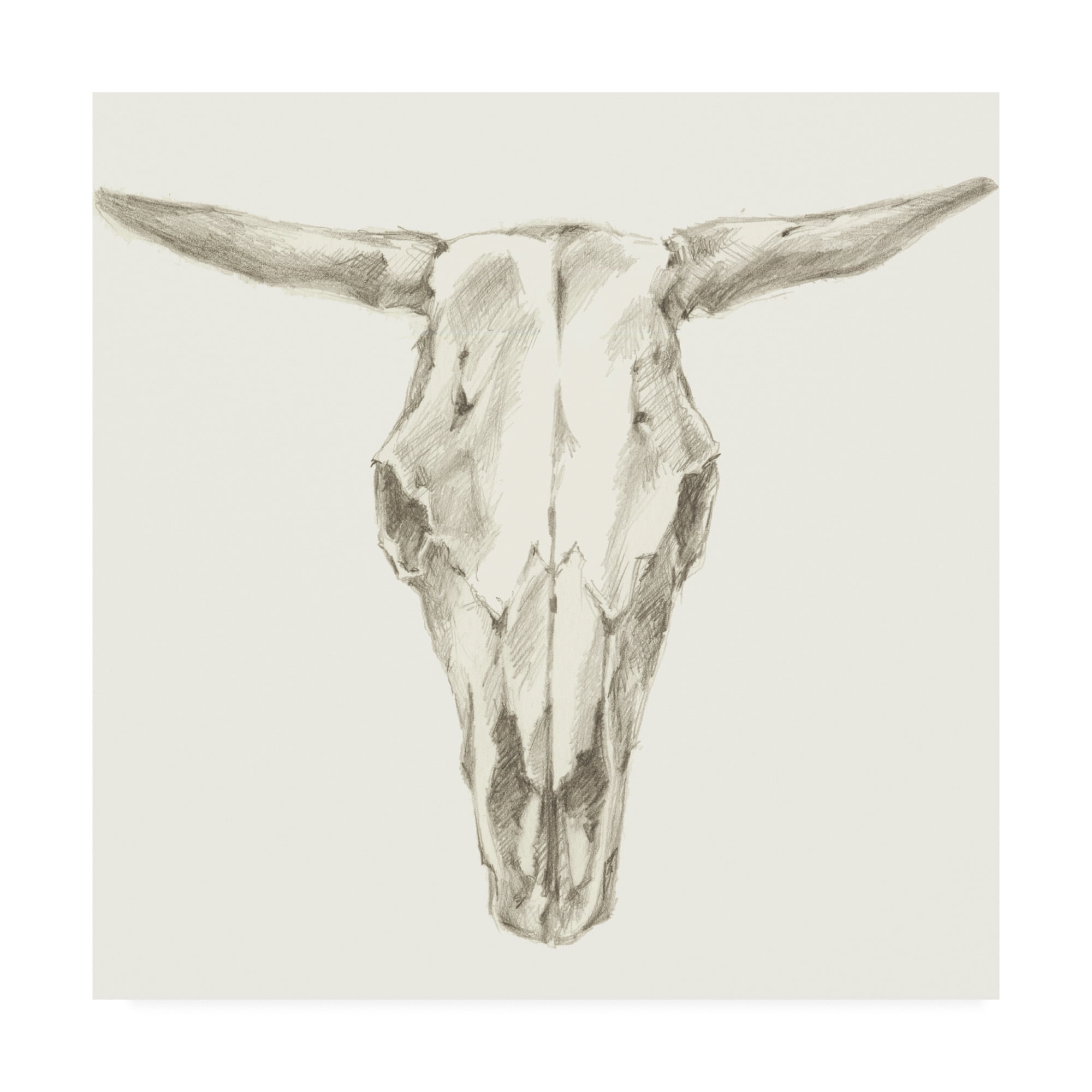 Western Skull Mount II' Canvas Art by Ethan Harper