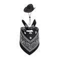 thumbnail image 1 of Western Theme Geese Hat With Cashew Pattern Bandana For Porch Geese Decoration Indoor Outdoor Holiday Party Yard Decors, 1 of 9