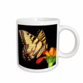 thumbnail image 1 of 3drose, Western Tiger Swallowtail Butterfly on Flower - Na02 Bja0014 - Jaynes Gallery, 15oz Mug, 1 of 6