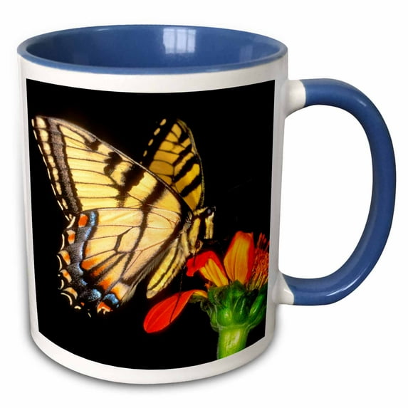 3drose, Western Tiger Swallowtail Butterfly on Flower - Na02 Bja0014 - Jaynes Gallery, 15oz Two-tone Blue Mug