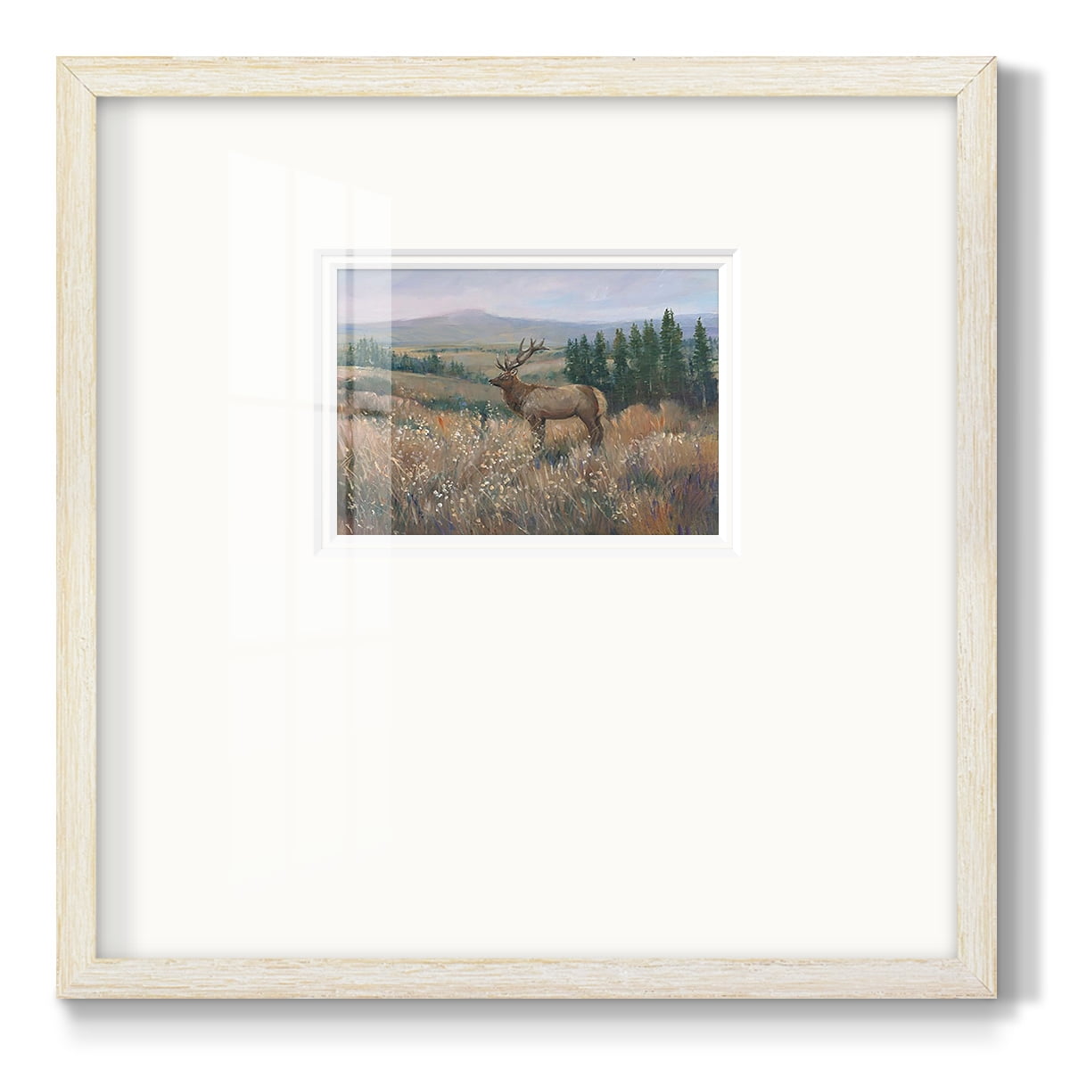 Western Wildlife IIPremium Framed Print