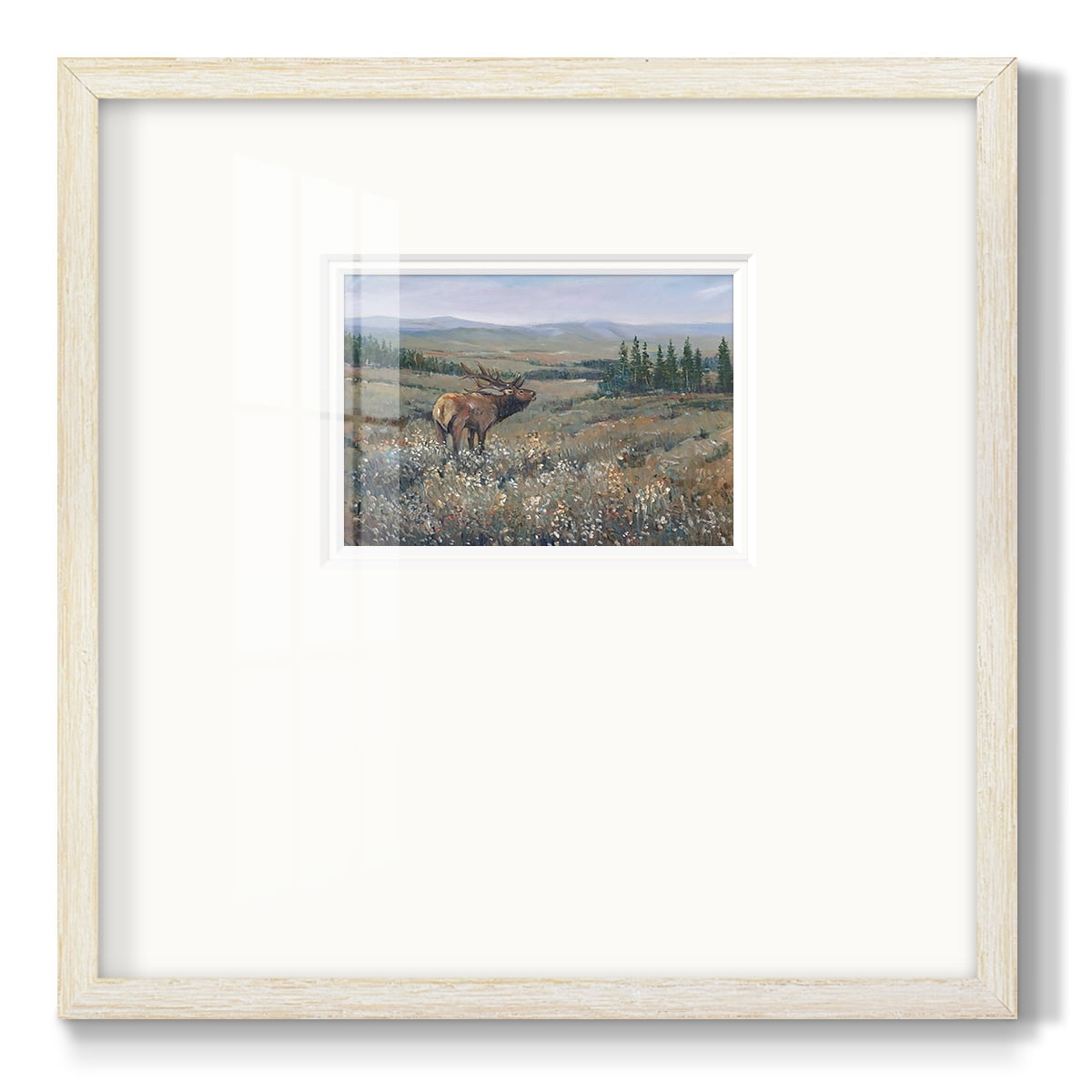 Western Wildlife IPremium Framed Print