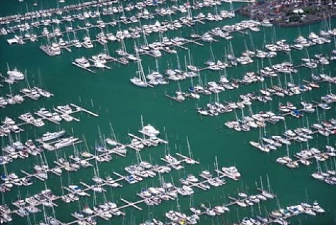 Westhaven Marina Waitemata Harbor Auckland Canvas Art - David Wall DanitaDelimont (37 x 25)