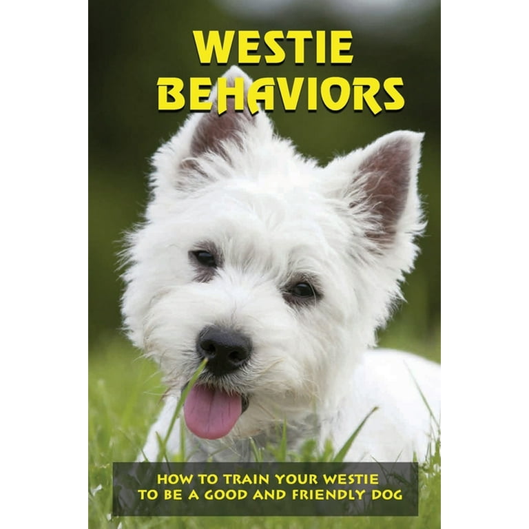 West highland terrier best sale training
