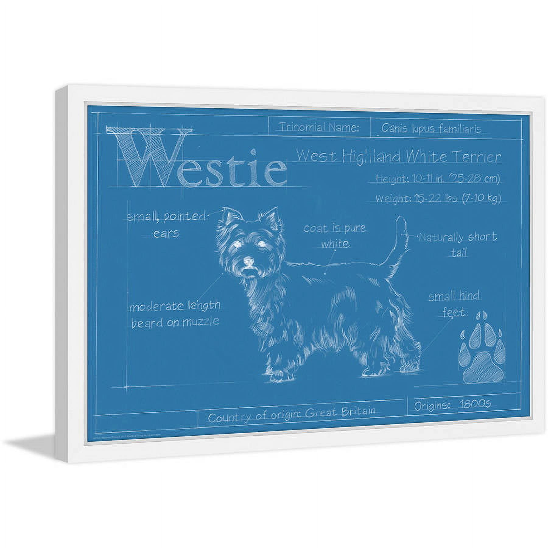 "Westie" Framed Painting Print