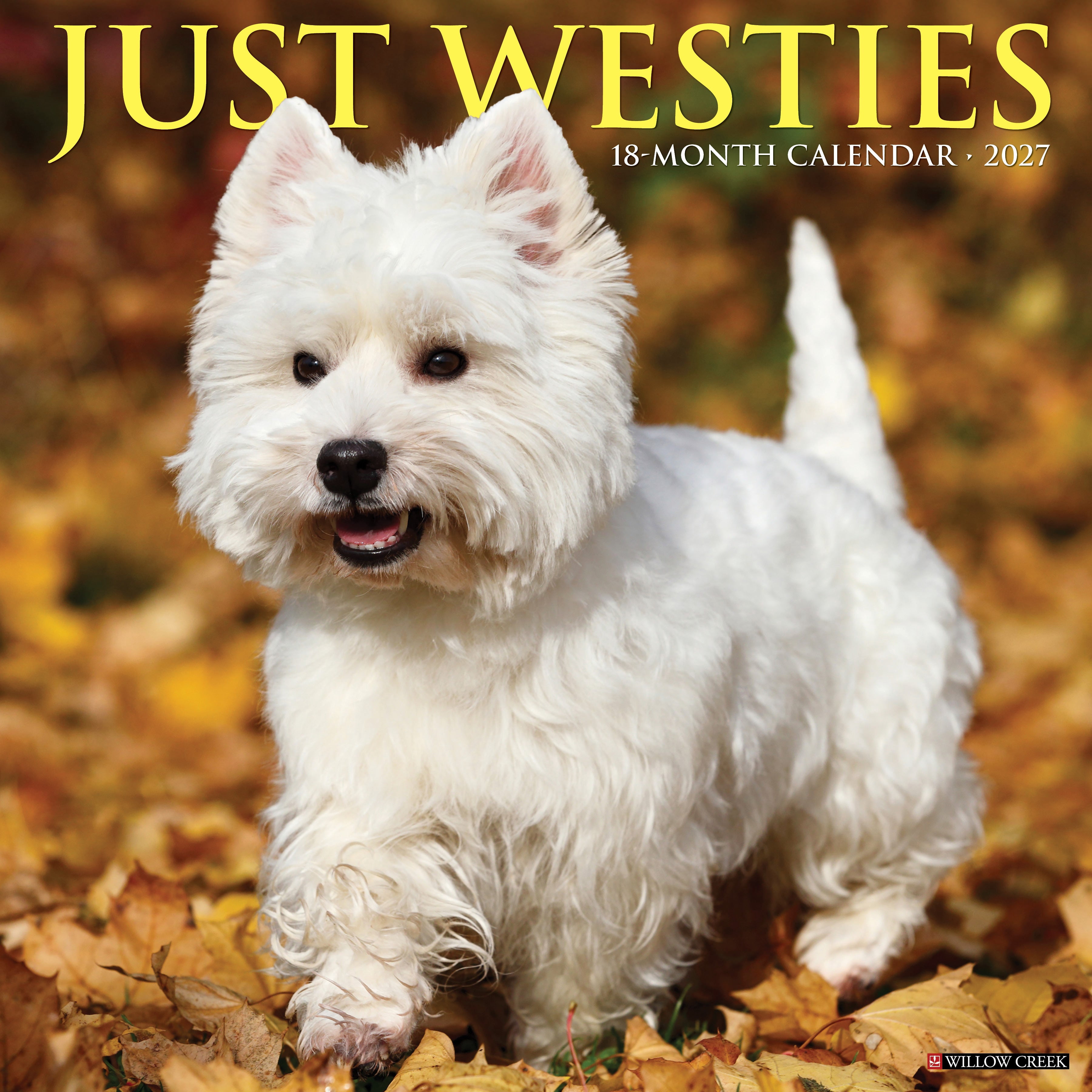 Willow Creek Press, Westies 2027 Wall Calendar