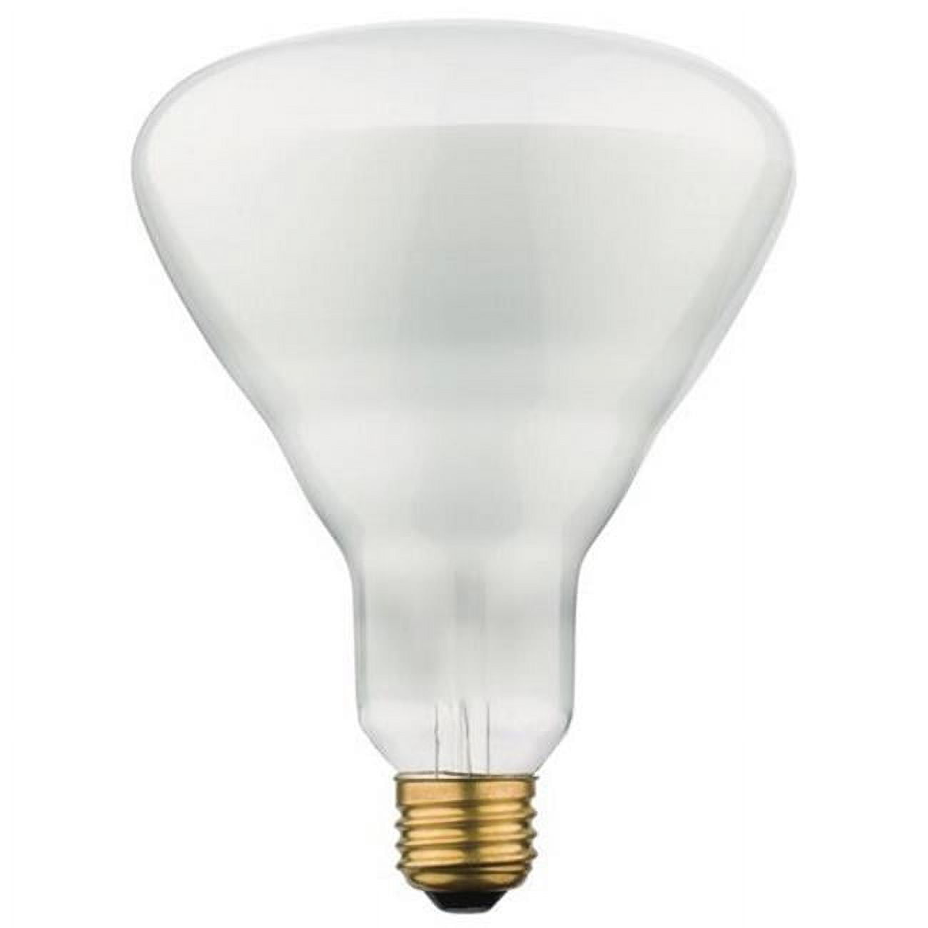 Westinghouse 396100 65 watt BR40 Incandescent Flood Light Bulb, Frost