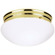 Westinghouse 4-3/4 in. H x 8-7/8 in. W x 8-7/8 in. L Ceiling Light