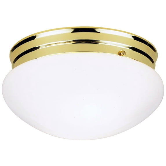 Westinghouse 4-3/4 in. H x 8-7/8 in. W x 8-7/8 in. L Ceiling Light