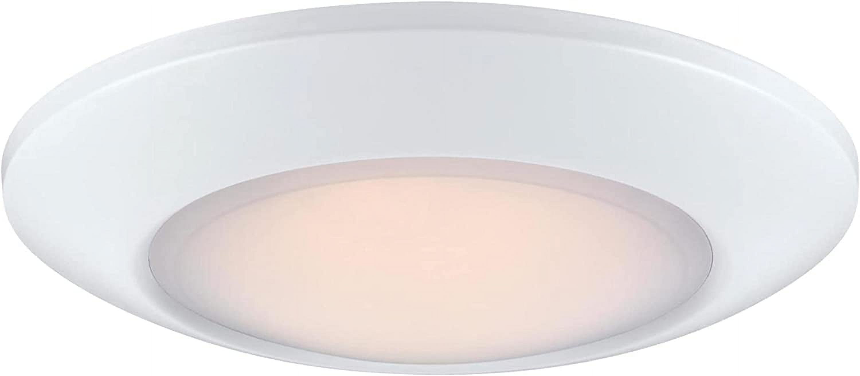 Westinghouse 6120100 Makira Traditional OneLight, 11 Inch 20 Watt