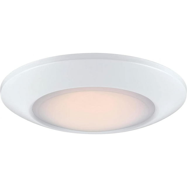 Westinghouse 6120100 Makira Traditional OneLight, 11 Inch 20 Watt
