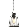 thumbnail image 1 of Westinghouse Lighting Westinghouse Brynn One-Light Outdoor Pendant, Oil Rubbed Bronze Finish with Highlights and Clear Seeded Glass - 1-Light, 1 of 4