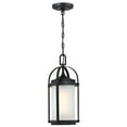 thumbnail image 1 of Westinghouse 6578500 Matte Black Finish Frosted Glass Pendant, 1 of 5
