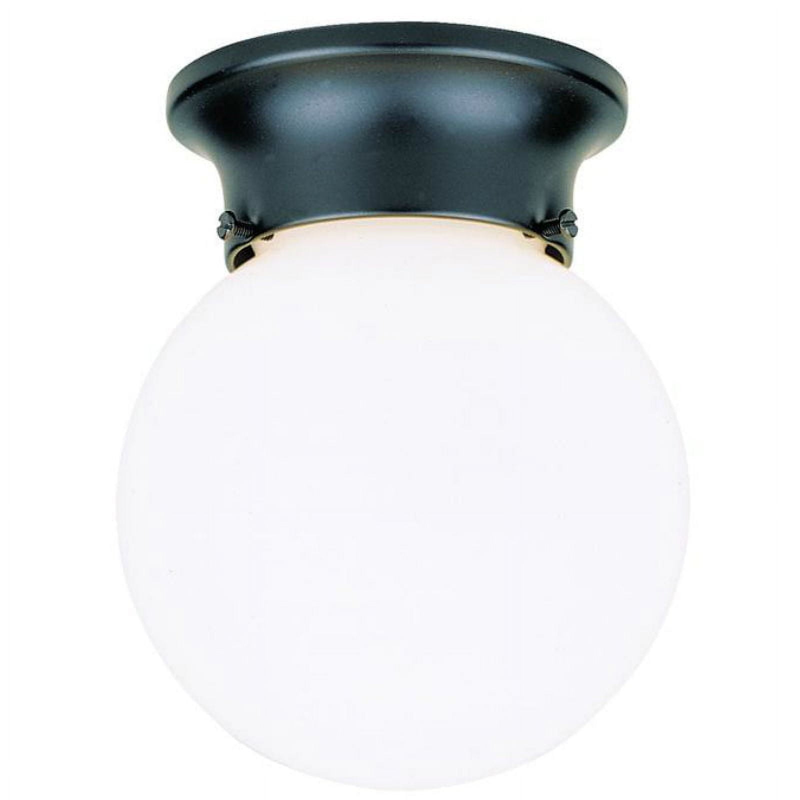 Sleek Black Gloss Globe Indoor/Outdoor Incandescent Light Fixture