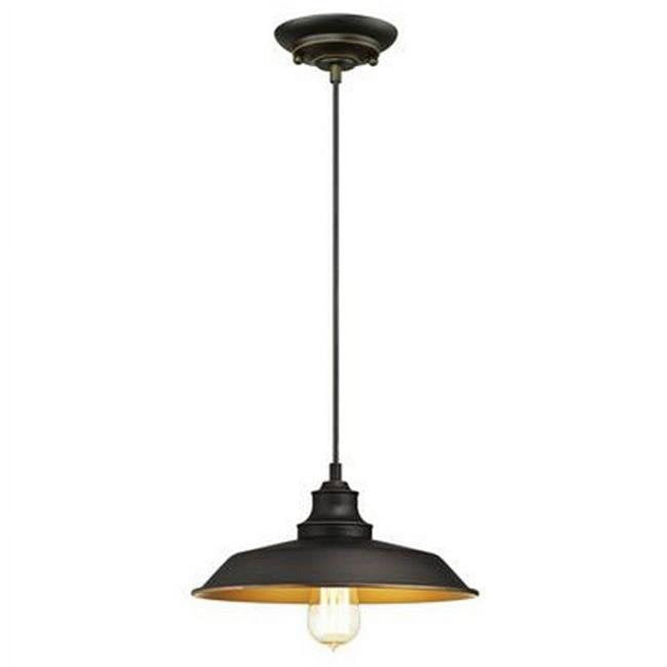 Oil-Rubbed Bronze Globe Pendant Light with Adjustable Height