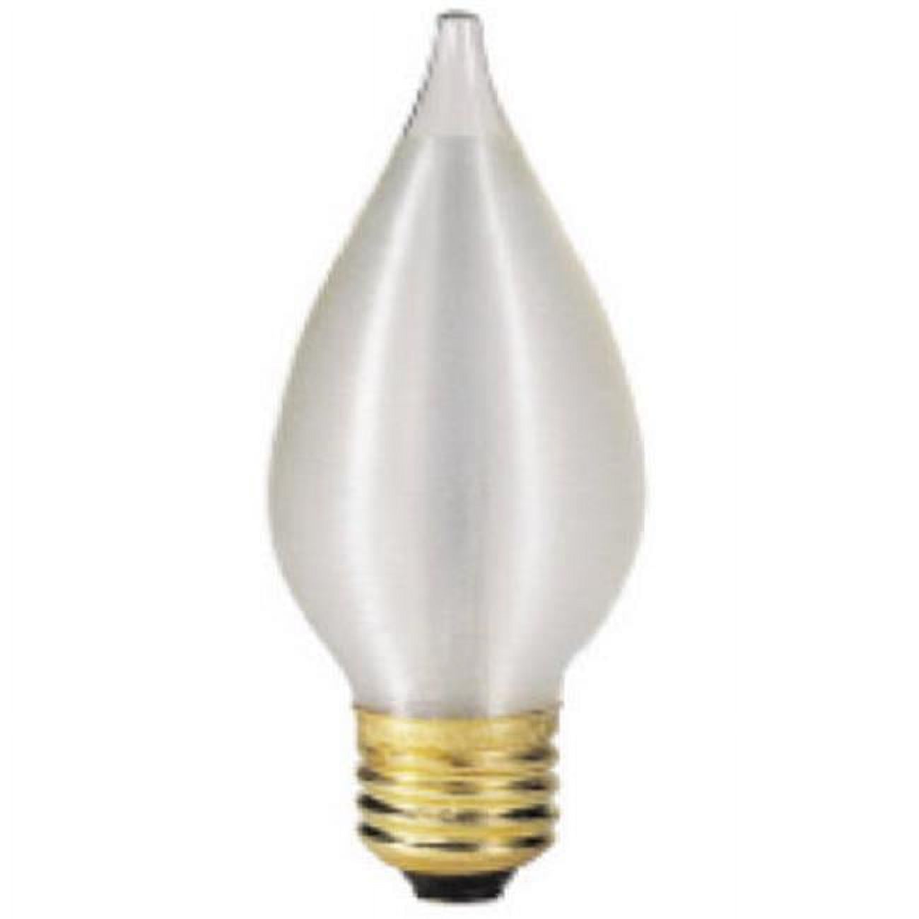 Westinghouse Lighting Corp 03016 25-watt Torpedo Bulb, White - Walmart.com