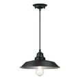 thumbnail image 1 of Westinghouse Iron Hill Pendant Matte Black Finish, 1 of 5