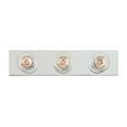 thumbnail image 1 of Westinghouse Silver 3 lights Incandescent Bathroom Bar Fixture Wall Mount, 1 of 2