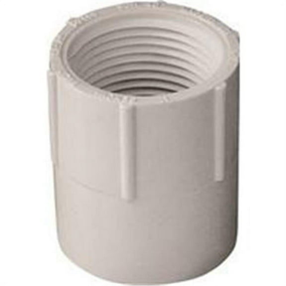 Westlake Pipe & Fittings Adapter, 1 in, Schedule 40,White,450 PSI 435010BC