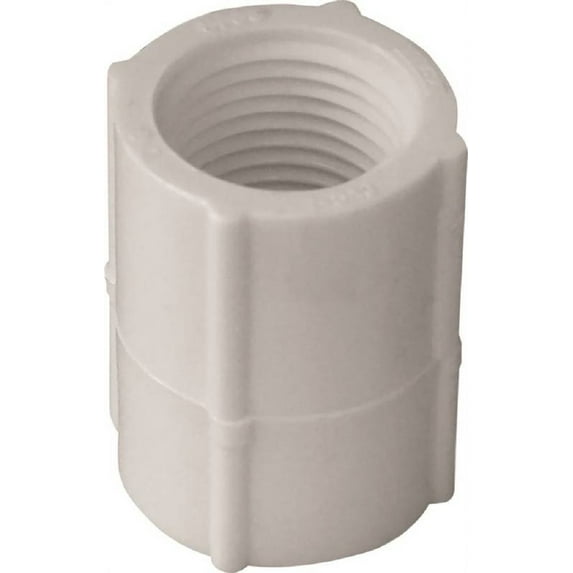 Westlake Pipe & Fittings Coupling,PVC,1/2 in,FNPT,SCH 40,White 430005BC
