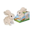 thumbnail image 1 of Westminster Inc. Hoppy the Rabbit, 1 of 6