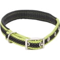 thumbnail image 1 of Westminster Pet 32758 Ruffin It ReflecTech Dog Collar, 1 of 2