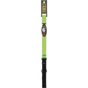 Westminster Pet Reflected Padded Lead with Tagged Handle, 6"