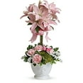 Westpark Flowers Floral Concepts Blushing Lilies