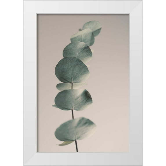 Westum, Heidi 13x18 White Modern Wood Framed Museum Art Print Titled - Fragrant Leaves Ll