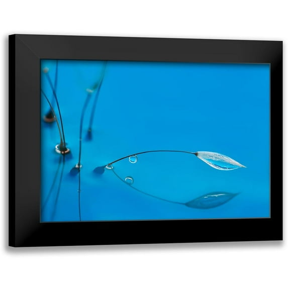 Westum, Heidi 14x11 Black Modern Framed Museum Art Print Titled - Blue Water