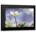 thumbnail image 1 of Westum, Heidi 14x11 Black Modern Framed Museum Art Print Titled - Purple Spring, 1 of 5