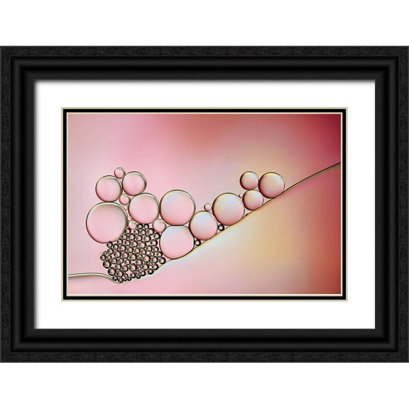 Westum, Heidi 14x11 Black Ornate Wood Framed with Double Matting Museum Art Print Titled - Pearlescent Pastel