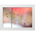 thumbnail image 1 of Westum, Heidi 14x11 White Modern Wood Framed Museum Art Print Titled - Morning Glow, 1 of 4