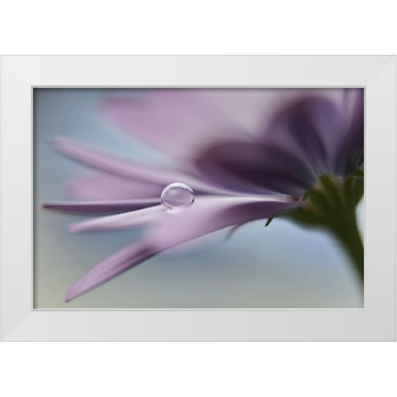 Westum, Heidi 14x11 White Modern Wood Framed Museum Art Print Titled - The Peaceful Drop