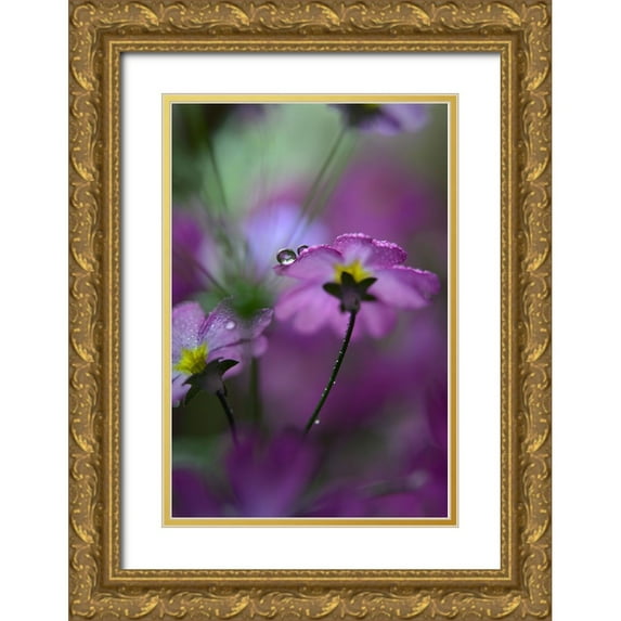 Westum, Heidi 17x24 Gold Ornate Wood Framed with Double Matting Museum Art Print Titled - In Pink Surroundings