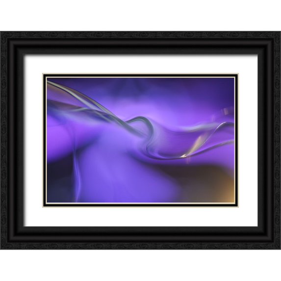 Westum, Heidi 18x13 Black Ornate Wood Framed with Double Matting Museum Art Print Titled - Shapes Of Purple