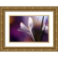 thumbnail image 1 of Westum, Heidi 24x17 Gold Ornate Wood Framed with Double Matting Museum Art Print Titled - Midnight Crocus, 1 of 4