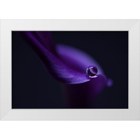 Westum, Heidi 24x17 White Modern Wood Framed Museum Art Print Titled - Kalas Pearl LL
