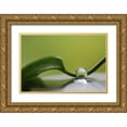 thumbnail image 1 of Westum, Heidi 32x23 Gold Ornate Wood Framed with Double Matting Museum Art Print Titled - Green Harmony, 1 of 4
