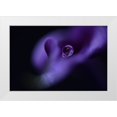 thumbnail image 1 of Westum, Heidi 32x23 White Modern Wood Framed Museum Art Print Titled - Kalas Pearl, 1 of 4