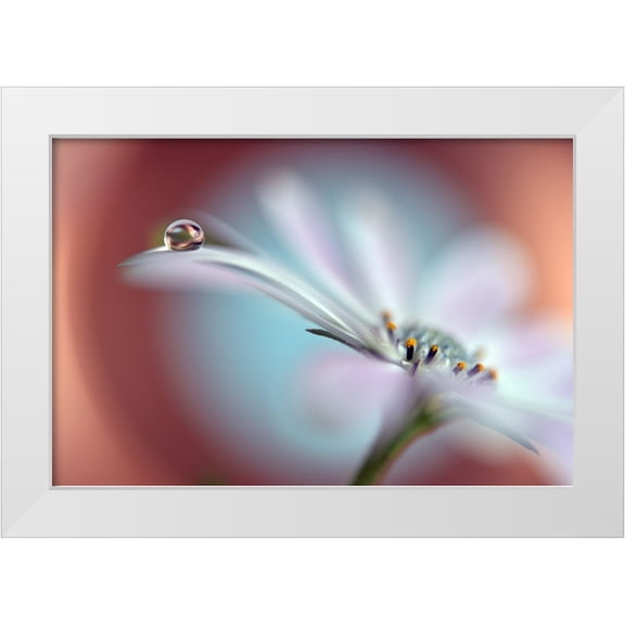 Westum, Heidi 32x23 White Modern Wood Framed Museum Art Print Titled - Summer Dream