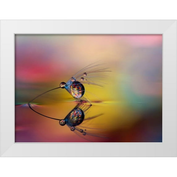 Westum, Heidi 32x25 White Modern Wood Framed Museum Art Print Titled - Colorize The Darkness