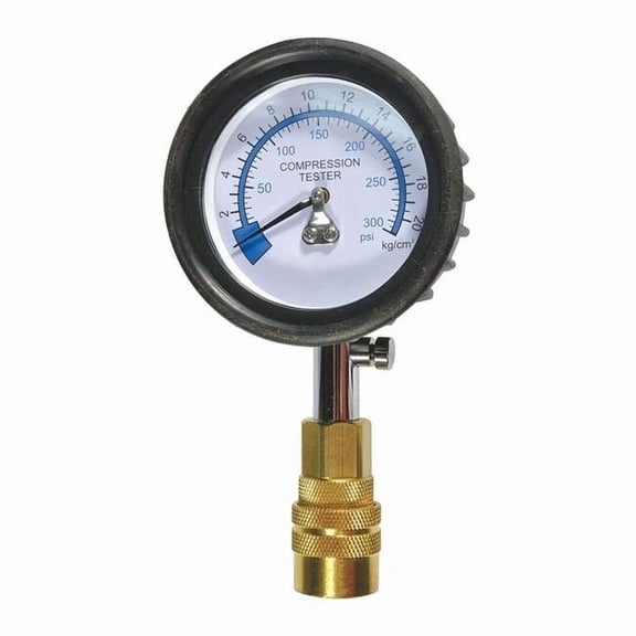 Westward Compression Gauge 1MZT6-1
