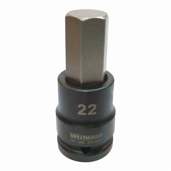 Westward Impkt Skt Bt St,Steel,Blk Oxd,H22 20HX54