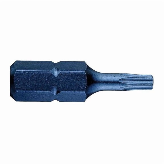 Westward Torsion Bit, SAE, 1/4", Hex, T10, 1", PK5 40L604