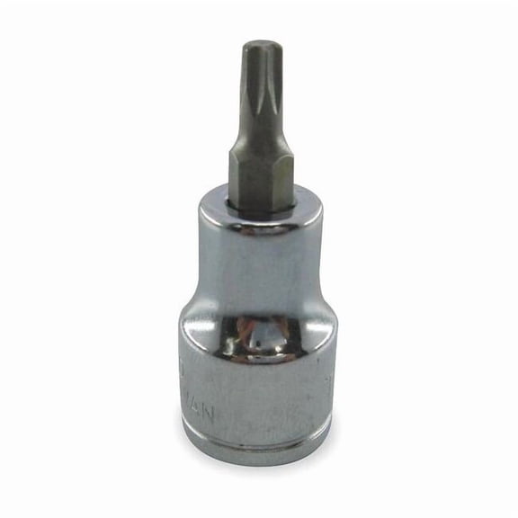 Westward 1/4 in Drive Torx(R) Socket Bit Torx(R) T20 Tip, 1 5/8 in L 1EZK1