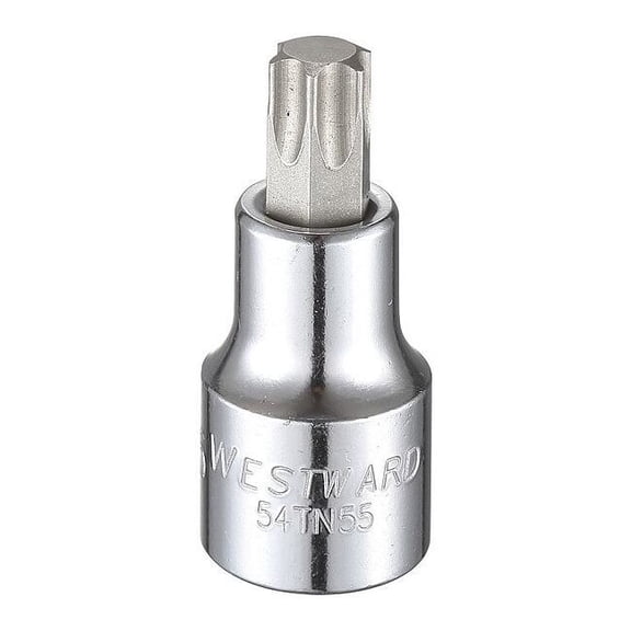 Westward 1/2 in Drive Torx(R) Socket Bit SAE T55 Tip, 2 1/2 in L 54TN55