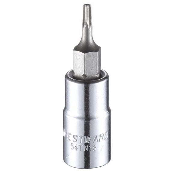 Westward Socket Bit, Steel, 1/4 in, TpSz T8 54TN18
